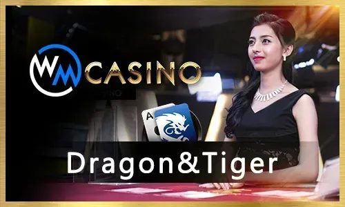 Guide to Live Casino Games